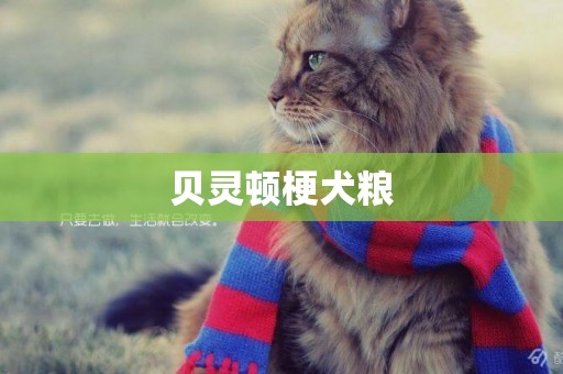 貝靈頓梗犬糧