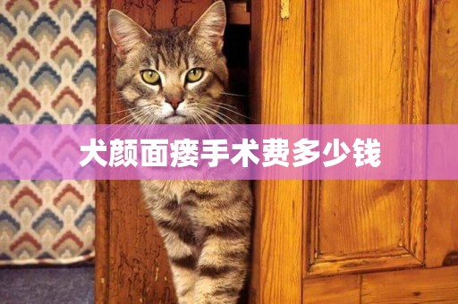 犬顏面瘺手術費多少錢