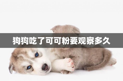狗狗吃了可可粉要觀察多久