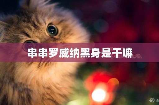 串串羅威納黑身是干嘛