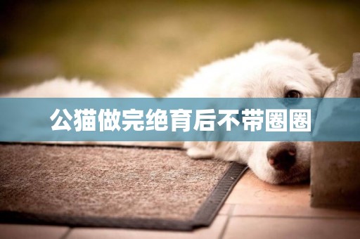 公貓做完絕育后不帶圈圈