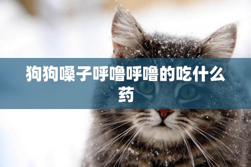 狗狗嗓子呼嚕呼嚕的吃什么藥