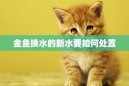 金魚換水的新水要如何處置