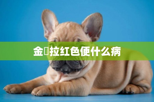 金魚拉紅色便什么病