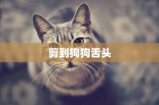 剪到狗狗舌頭