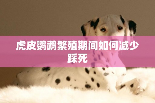 虎皮鸚鵡繁殖期間如何減少踩死