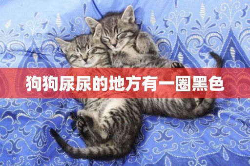 狗狗尿尿的地方有一圈黑色