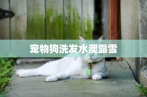 寵物狗洗發水澳露雪
