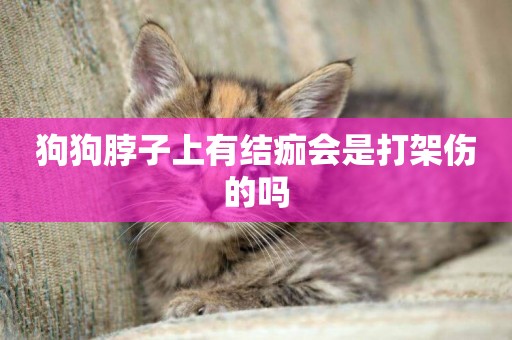 狗狗脖子上有結痂會是打架傷的嗎