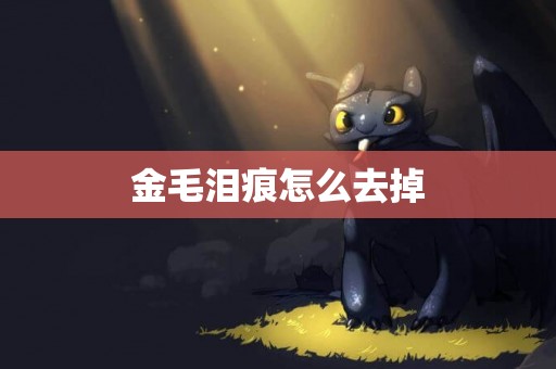 金毛淚痕怎么去掉