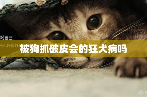 被狗抓破皮會的狂犬病嗎