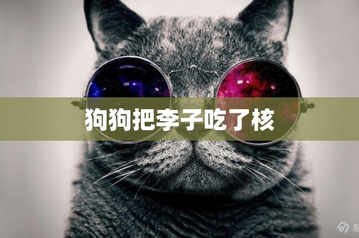 狗狗把李子吃了核