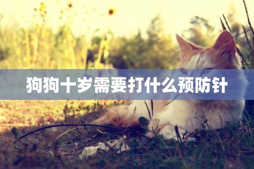 狗狗十歲需要打什么預防針