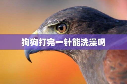 狗狗打完一針能洗澡嗎