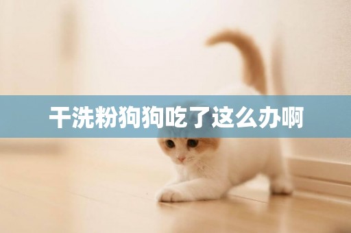 干洗粉狗狗吃了這么辦啊