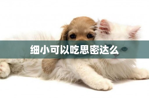 細小可以吃思密達么