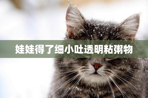 娃娃得了細小吐透明粘粥物