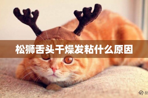松獅舌頭干燥發粘什么原因