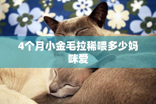 4個月小金毛拉稀喂多少媽咪愛