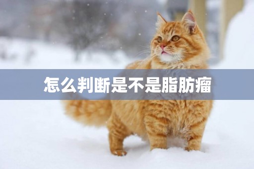 怎么判斷是不是脂肪瘤