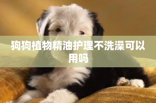 狗狗植物精油護理不洗澡可以用嗎