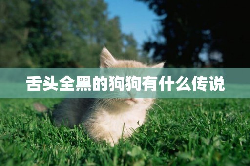 舌頭全黑的狗狗有什么傳說