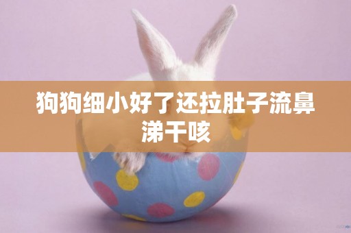 狗狗細小好了還拉肚子流鼻涕干咳
