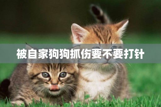 被自家狗狗抓傷要不要打針