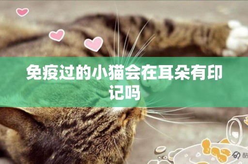 免疫過的小貓會在耳朵有印記嗎