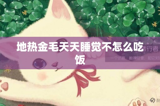 地熱金毛天天睡覺不怎么吃飯