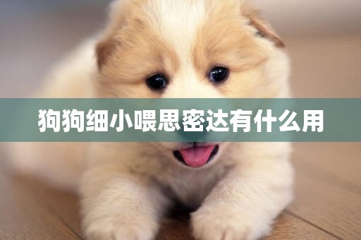狗狗細小喂思密達有什么用