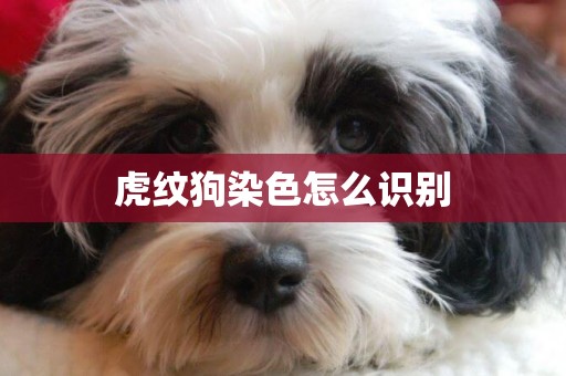 虎紋狗染色怎么識別