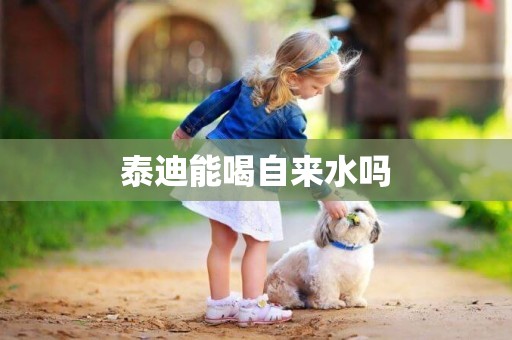 泰迪能喝自來水嗎