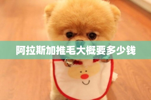 阿拉斯加推毛大概要多少錢