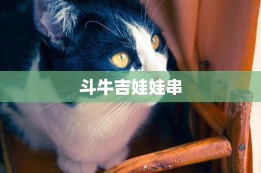 斗牛吉娃娃串
