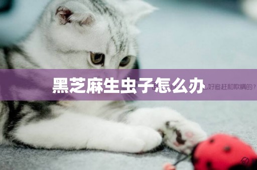 黑芝麻生蟲子怎么辦