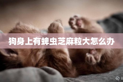 狗身上有蜱蟲芝麻粒大怎么辦