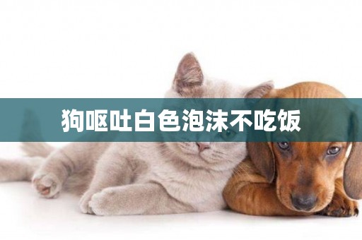狗嘔吐白色泡沫不吃飯
