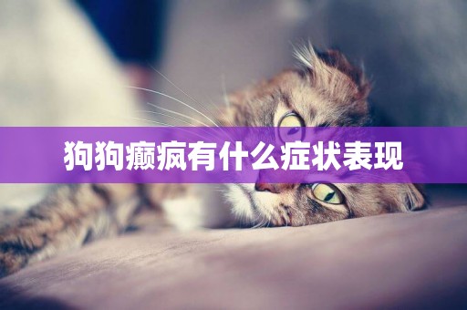 狗狗癲瘋有什么癥狀表現