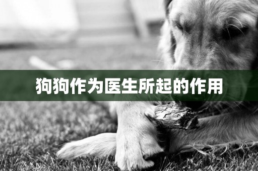 狗狗作為醫生所起的作用