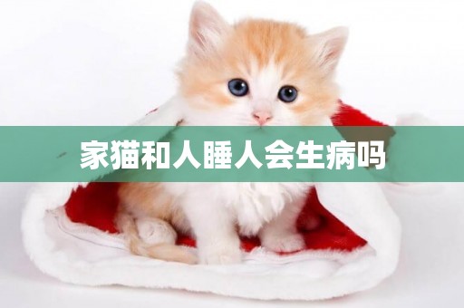 家貓和人睡人會生病嗎