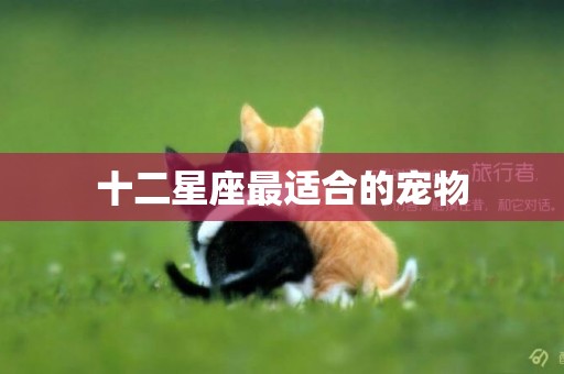 十二星座最適合的寵物