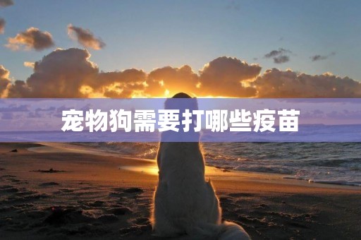 寵物狗需要打哪些疫苗