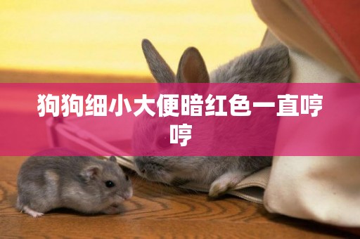 狗狗細小大便暗紅色一直哼哼