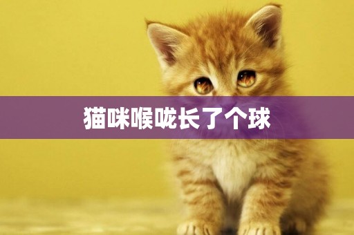 貓咪喉嚨長了個球