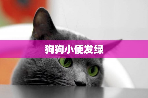 狗狗小便發綠