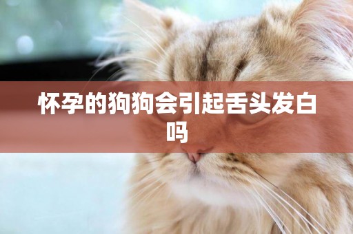 懷孕的狗狗會引起舌頭發白嗎