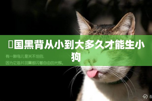 徳國黑背從小到大多久才能生小狗