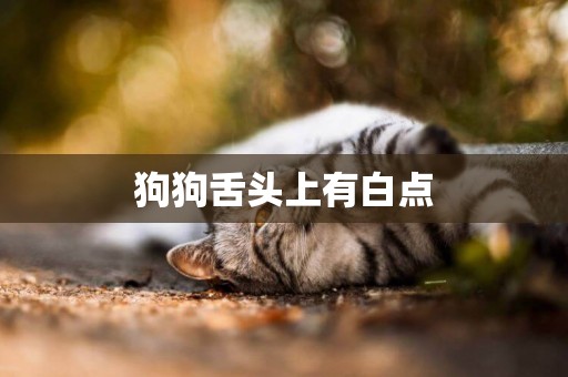 狗狗舌頭上有白點