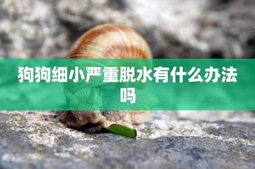 狗狗細小嚴重脫水有什么辦法嗎